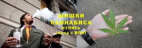 спиды Бородино