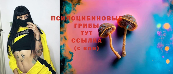 стафф Снежинск