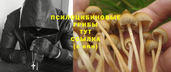 спиды Бородино