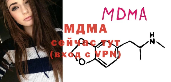 спиды Бородино