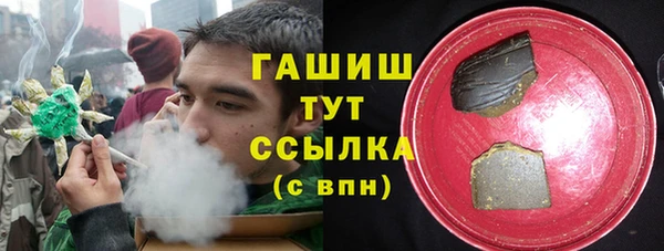 спиды Бородино
